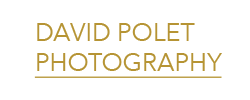 David POLET PHOTOGRAPHY