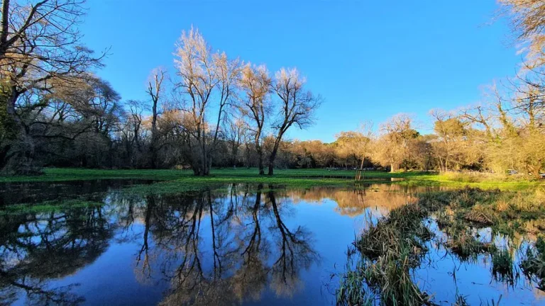 Séance photo en lumière naturelle à Villeneuve-Loubet dans un cadre verdoyant au bord de l’eau