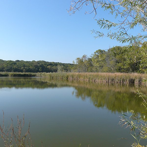 Étang du Parc de Vaugrenier à Villeneuve-Loubet pour une séance photo en extérieur